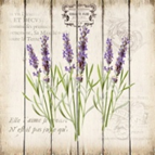 pasted_img_77991.png
