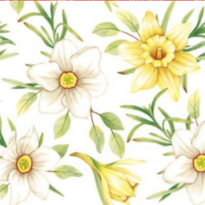 screenshot_2025-06-25_151644_8516.png