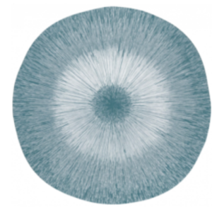 screenshot_2025-06-27_122019_42697.png