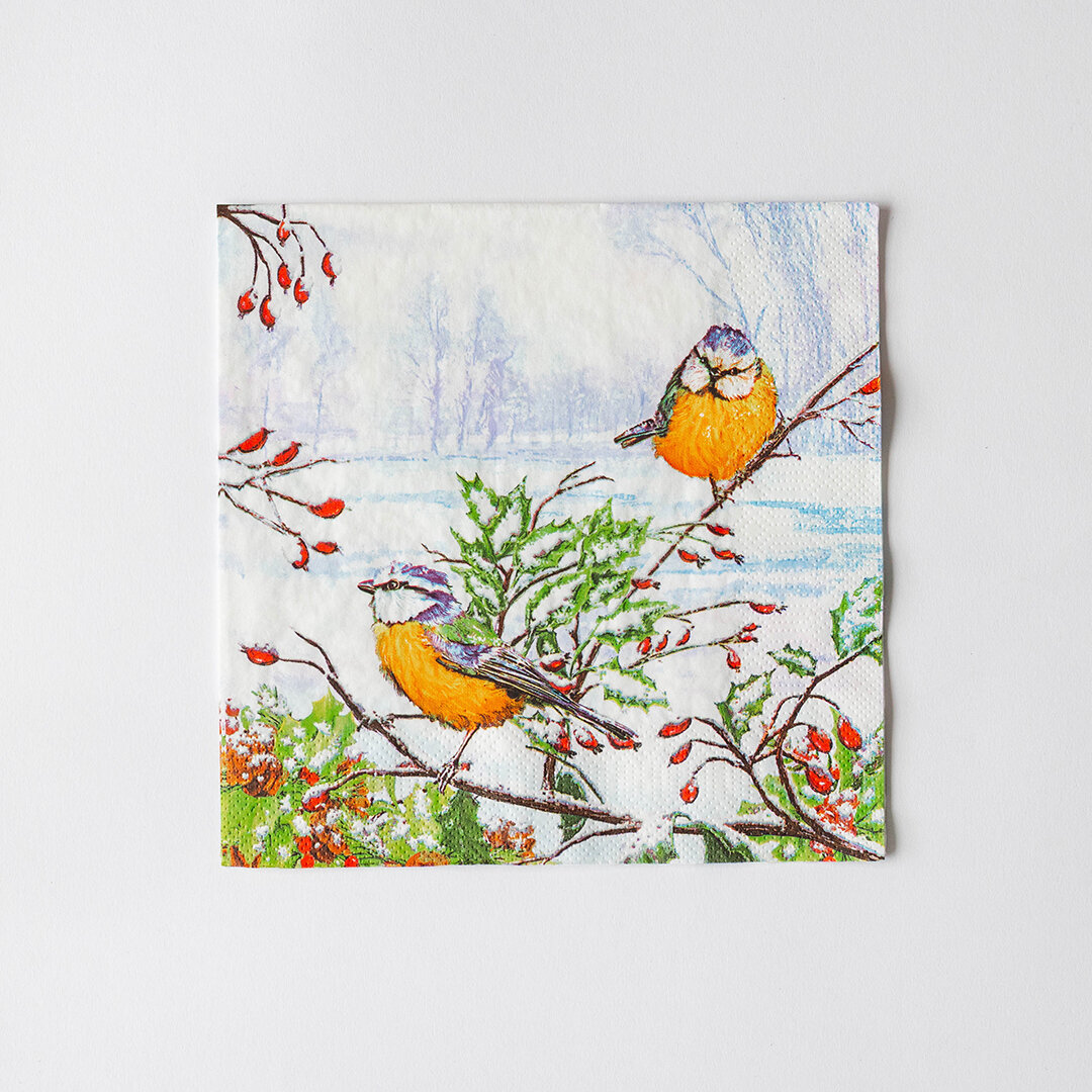 Napkins, Pack of 20