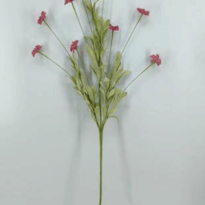 pasted_img_4577.png