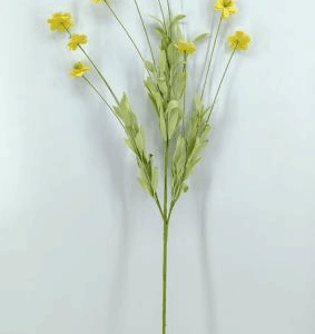 pasted_img_68306.png