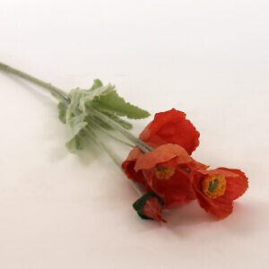 flower-37_80805.jpg