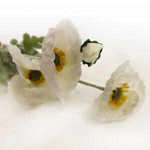flower-43_31713.jpg