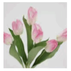 screenshot_2026-03-28_224817_70674.png