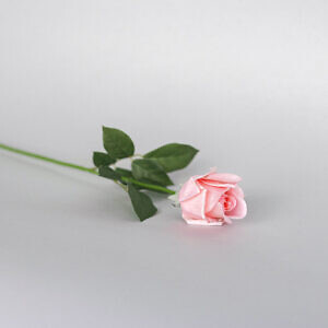 agu25-products162_68644.jpg