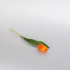agu25-products164_85417.jpg