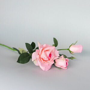 agu25-products166_2110.jpg