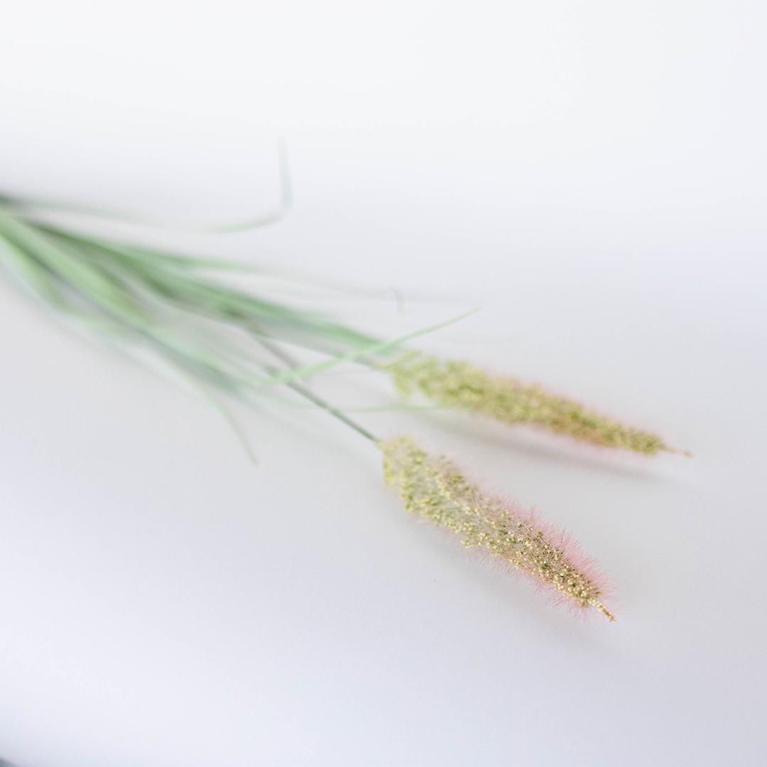 Onion Grass